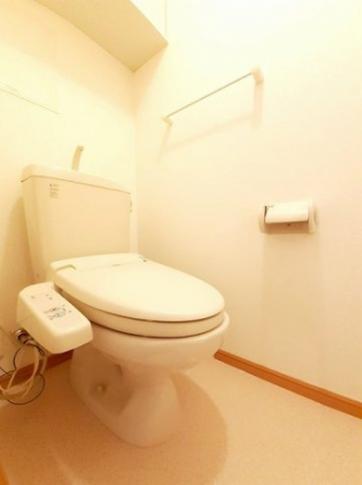 落ち着いた色調のトイレです