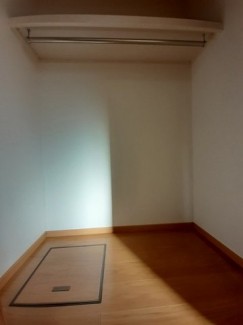 大きなものも収納できそうです