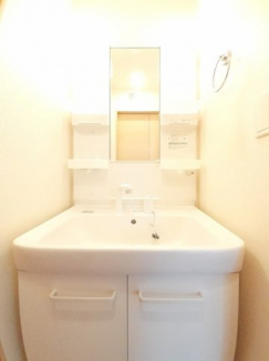 スペースが確保できる洗面所です