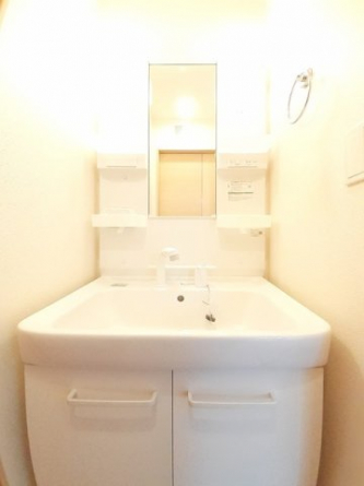 スペースが確保できる洗面所です