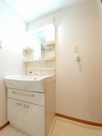 忙しい朝には欠かせない洗面所です