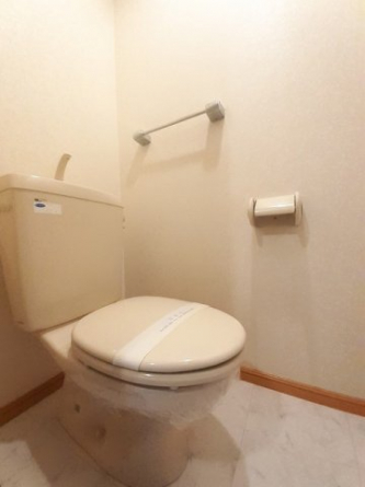 落ち着いた色調のトイレです