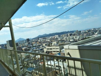 廊下からの眺望