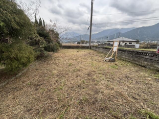 正面の畑にしていたスペース。お野菜高騰が続く中、家庭菜園で家