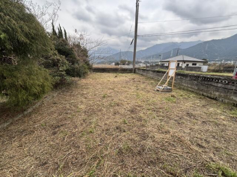 正面の畑にしていたスペース。お野菜高騰が続く中、家庭菜園で家