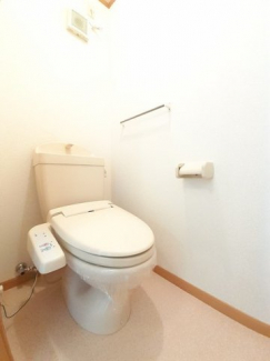 落ち着いた色調のトイレです