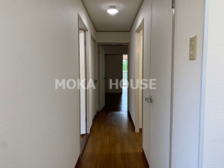 明るい玄関です