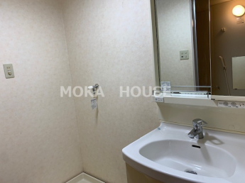 スペースが確保できる洗面所です