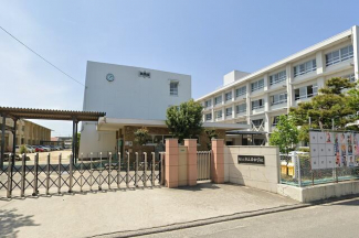 松山市立南中学校まで1500m