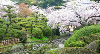 道後公園まで876m