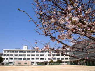 松山市立道後小学校まで1256m