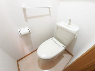 落ち着いた色調のトイレです