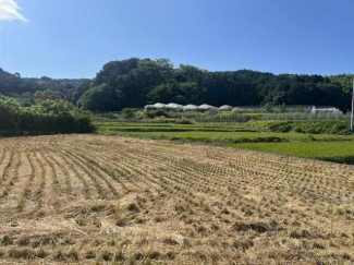 松山市久谷町の売地の画像