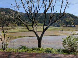 店内からの景色まで50m