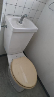 Ｐ／１６／３／いの画像