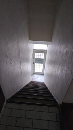 Ｐ／１６／３／いの画像