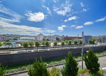 福田川沿です。