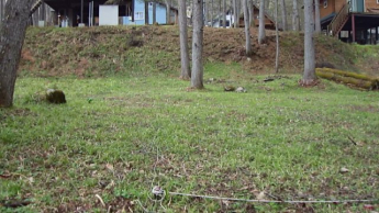 岐阜県高山市荘川町六厩　土地の画像