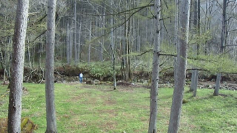 岐阜県高山市荘川町六厩　土地の画像