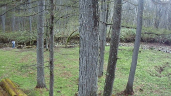 岐阜県高山市荘川町六厩　土地の画像