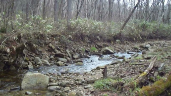 岐阜県高山市荘川町六厩　土地の画像