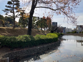 道後公園まで650m