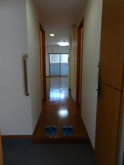 サウザンド　サニーの画像