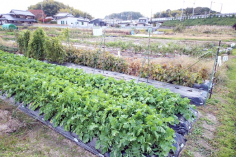 2025年11月撮影、外観