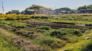 2025年11月撮影、外観