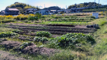 2025年11月撮影、外観