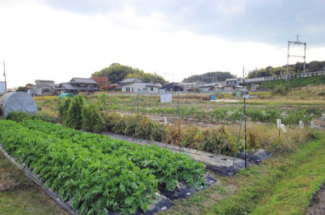 2025年11月撮影、外観