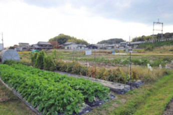 2025年11月撮影、外観