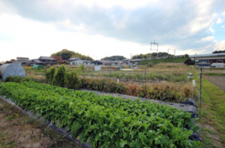 2025年11月撮影、外観