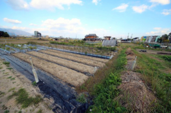 2025年11月撮影、外観