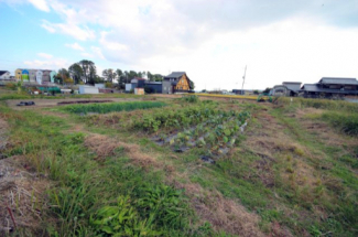 2025年11月撮影、外観