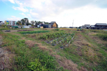 2025年11月撮影、外観