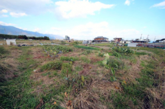 2025年11月撮影、外観