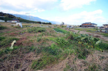 2025年11月撮影、外観