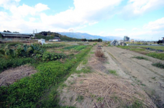 2025年11月撮影、外観