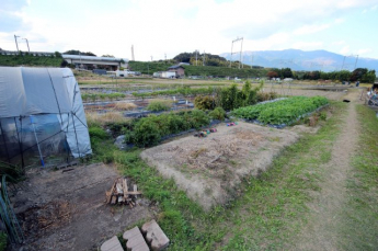 2025年11月撮影、外観