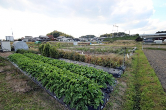 2025年11月撮影、外観