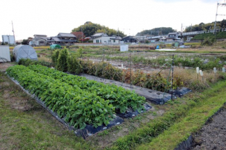 2025年11月撮影、外観