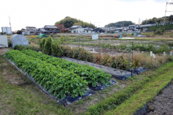 2025年11月撮影、外観