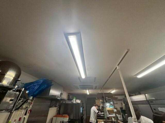 メイプル岡本の画像