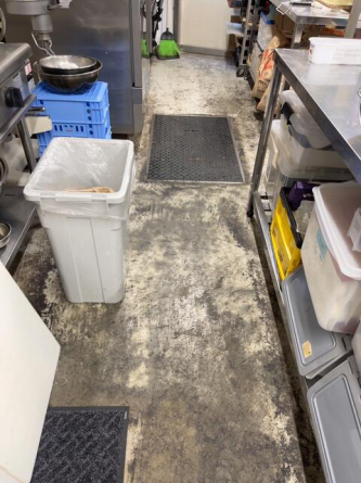 メイプル岡本の画像