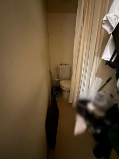 メイプル岡本の画像