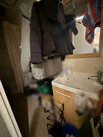 メイプル岡本の画像