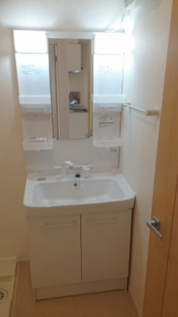 スペースが確保できる洗面所です