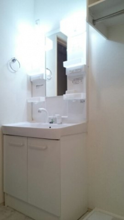 スペースが確保できる洗面所です