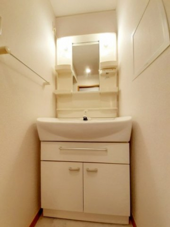 忙しい朝には欠かせない洗面所です